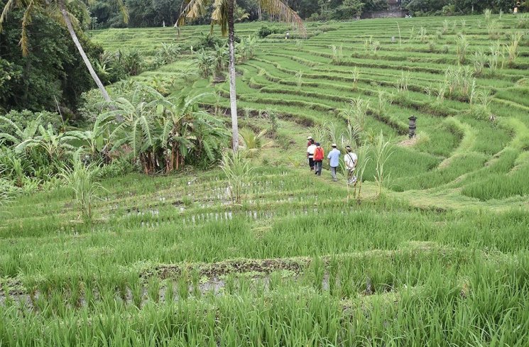 Kondisi Geografis Desa